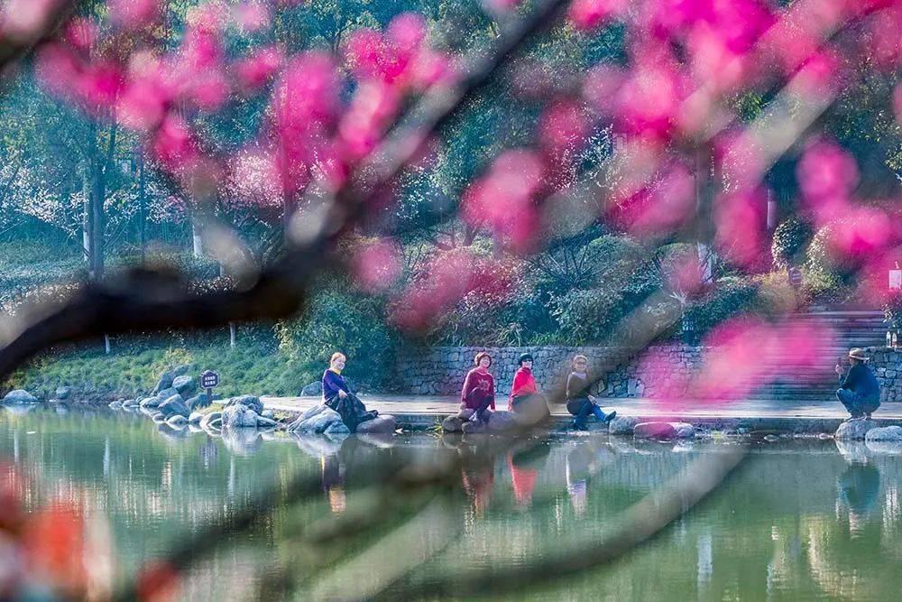探索问答之旅-长寿的秘诀是什么?分享经验