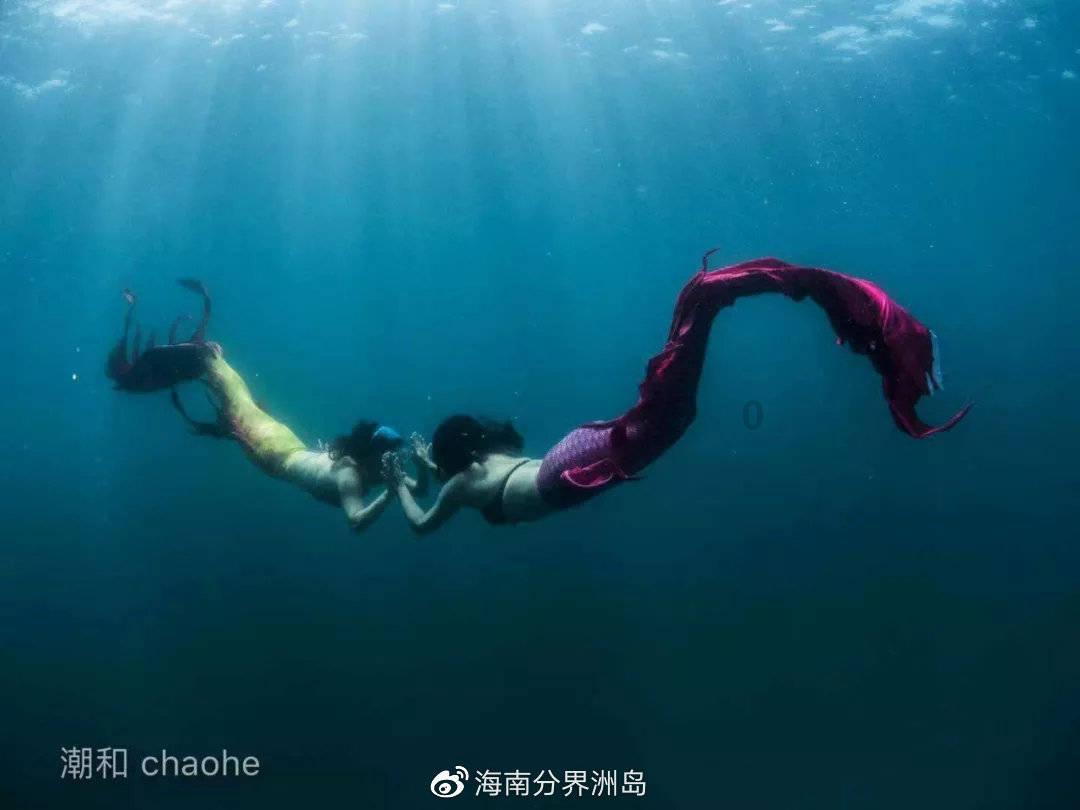 探索如何判断主力资金出货红迪网,走进分享创意的社区